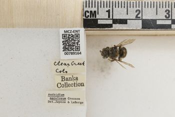 Media type: image;   Entomology 789164 Aspect: Labels